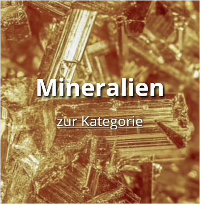  category icon/image