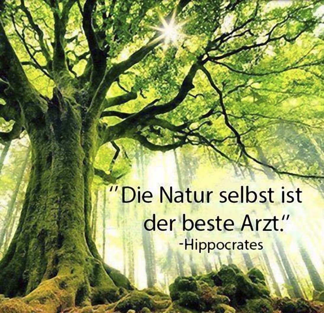 NaturProdukte category icon/image