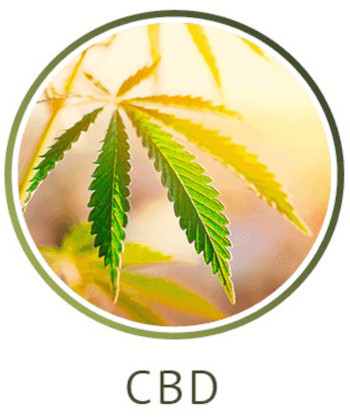 CBD category icon/image