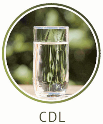 CDL  CDS category icon/image