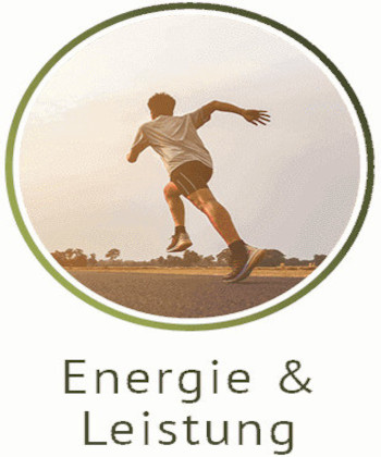 Energie und Leistung category icon/image