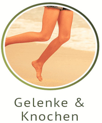 Gelenke und Knochen category icon/image