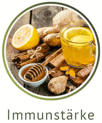 Immunstärke category icon/image