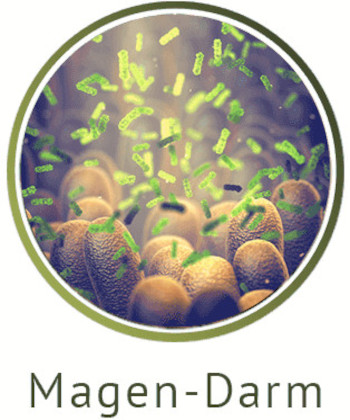 Magen und Darm category icon/image