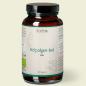 Preview: Waldkraft Erdling Bio Kelpalgen-Jod aus Schottland 120 Kapseln
