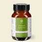 Preview: Waldkraft Kraftpilz Cordyceps – Vitalpilzpulver – 100g