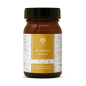 Preview: Waldkraft Kraftpilz Hericium – Vitalpilzpulver – 100g