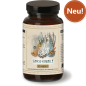 Preview: Waldkraft Erdling Sango-Koralle – Ideale Quelle von Calcium und Magnesium (120 Kapseln)