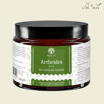 Waldkraft Arthridea Die Göttin der Gelenke