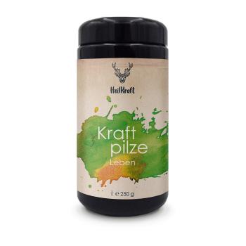 Heilkraft Kraftpilze Leben 250g