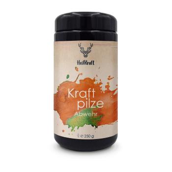 Heilkraft Kraftpilze Abwehr 250g