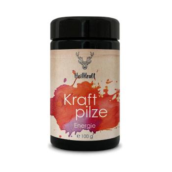 Heilkraft Kraftpilze Energie 100g