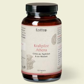Waldkraft Erdling Kraftpilze Athena  ehemals Regeneration – Vitalpilz Synergetikum – 120 Kapseln