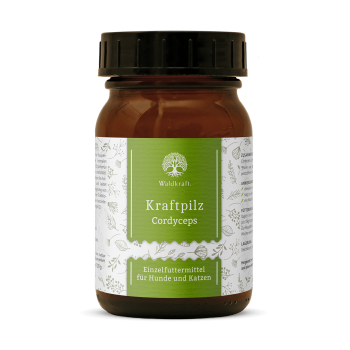 Waldkraft Kraftpilz Cordyceps – Vitalpilzpulver – 100g