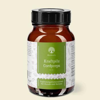 Waldkraft Kraftpilz Cordyceps – Vitalpilzpulver – 100g