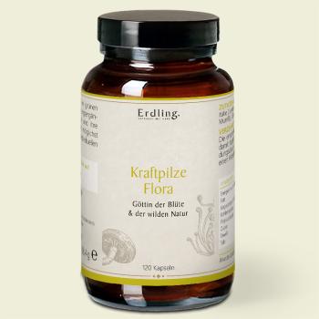 Waldkraft Erdling Kraftpilze Flora ehemals Energie– Vitalpilz Synergetikum – 120 Kapseln
