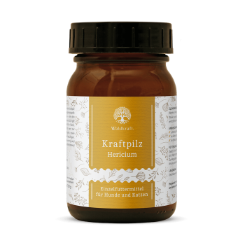 Waldkraft Kraftpilz Hericium – Vitalpilzpulver – 100g