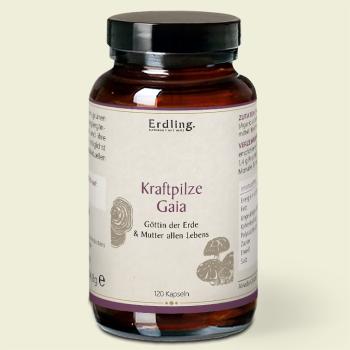 Waldkraft Erdling Kraftpilze Gaia ehemals Leben – Vitalpilz Synergetikum – 120 Kapseln