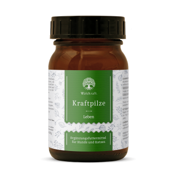 Waldkraaft Kraftpilze Gaia ehemals Leben – Vitalpilz Synergetikum - Pulver 100g