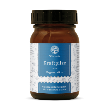 Waldkraft Kraftpilze Athena ehemals Regeneration – Vitalpilz Synergetikum - Pulver 100g