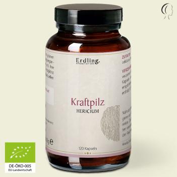 Waldkraft Erdling Bio Kraftpilz Hericium