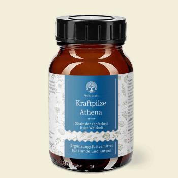 Waldkraft Kraftpilze Athena ehemals Regeneration – Vitalpilz Synergetikum - Pulver 100g