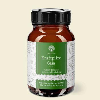 Waldkraaft Kraftpilze Gaia ehemals Leben – Vitalpilz Synergetikum - Pulver 100g