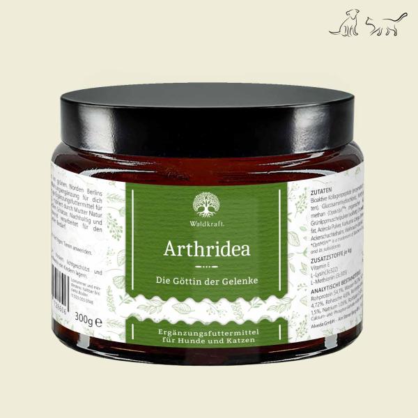 Waldkraft Arthridea Die Göttin der Gelenke