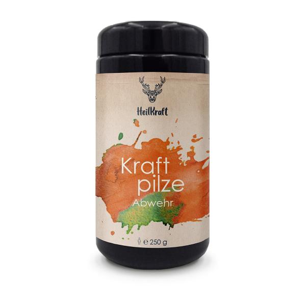 Heilkraft Kraftpilze Abwehr 250g