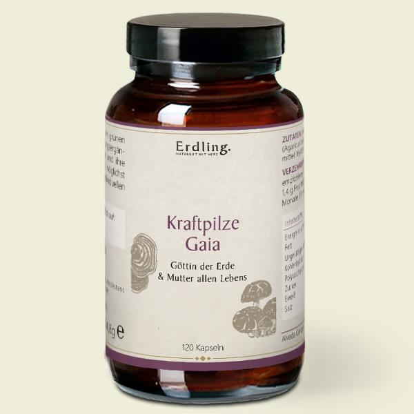 Waldkraft Erdling Kraftpilze Gaia ehemals Leben – Vitalpilz Synergetikum – 120 Kapseln