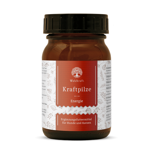 Waldkraft Kraftpilze Flora ehemals Energie – Vitalpilz Synergetikum - Pulver 100g