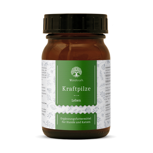 Waldkraaft Kraftpilze Gaia ehemals Leben – Vitalpilz Synergetikum - Pulver 100g