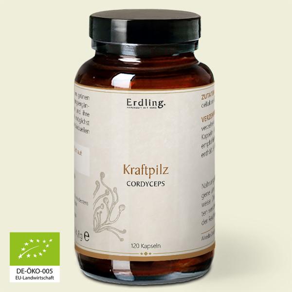 Waldkraft Erdling Bio Kraftpilz Cordyceps